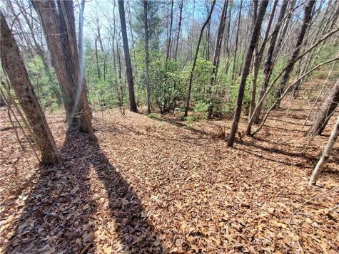 Lot 41 Trails End Ellijay GA 30540