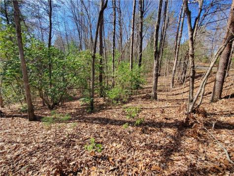 Lot 41 Trails End Ellijay GA 30540