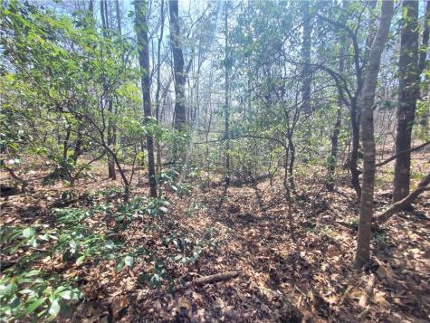 Lot 41 Trails End Ellijay GA 30540