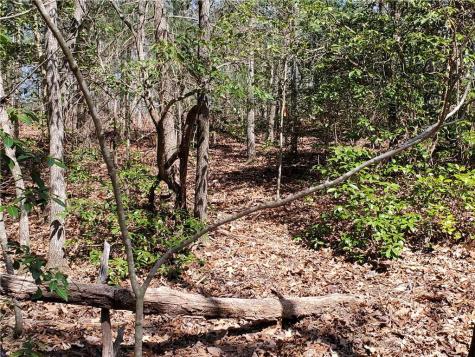 Lot 41 Trails End Ellijay GA 30540