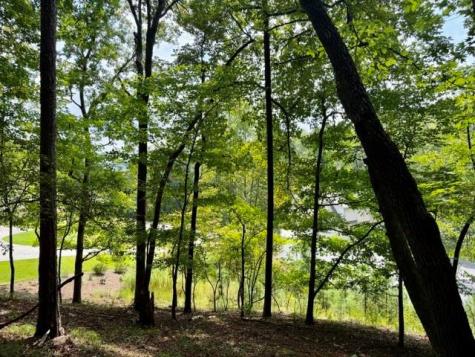 40 Madeline Anthony Road Dahlonega GA 30533