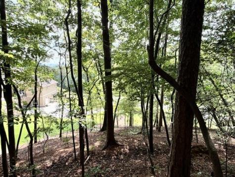 40 Madeline Anthony Road Dahlonega GA 30533