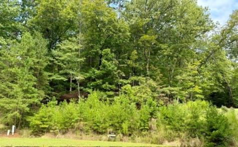 40 Madeline Anthony Road Dahlonega GA 30533