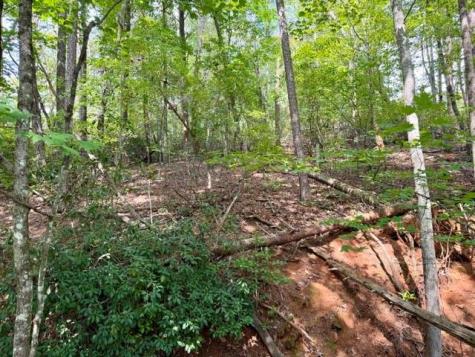 40 Madeline Anthony Road Dahlonega GA 30533