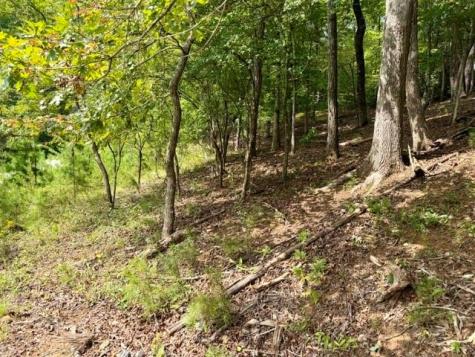 40 Madeline Anthony Road Dahlonega GA 30533