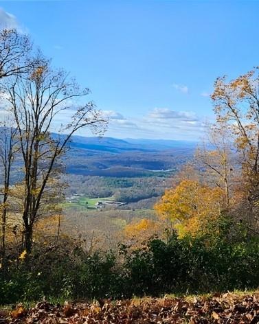 5 Rocky Knob Young Harris GA 30582