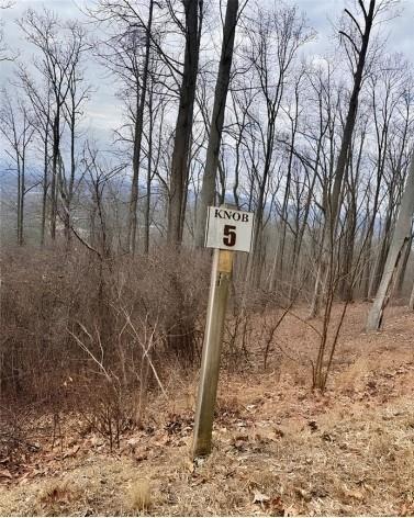 5 Rocky Knob Young Harris GA 30582