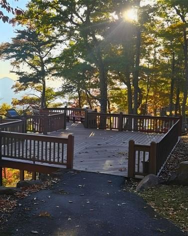 5 Rocky Knob Young Harris GA 30582
