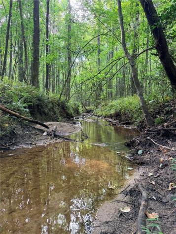 Lot 19 Henderson Mountain Road Jasper GA 30143