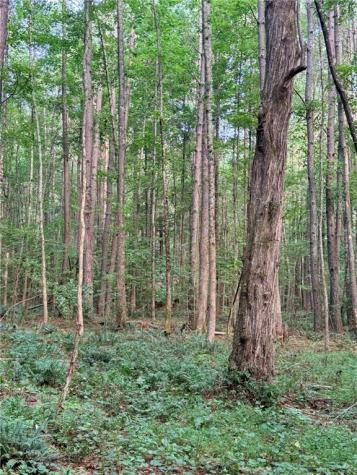 Lot 19 Henderson Mountain Road Jasper GA 30143