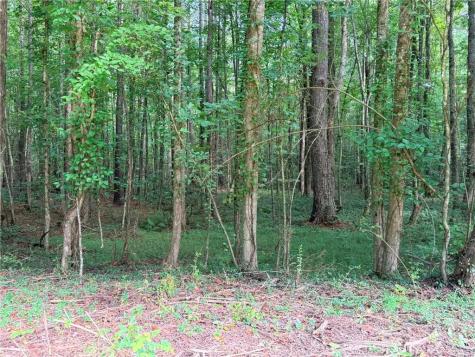 Lot 19 Henderson Mountain Road Jasper GA 30143