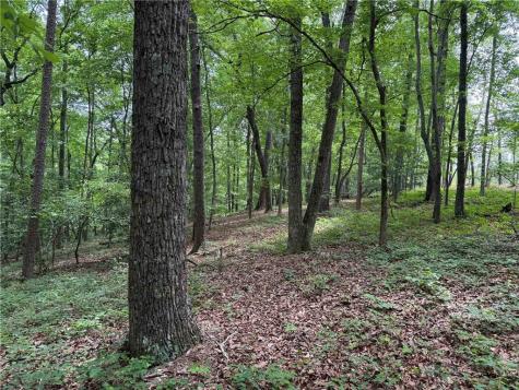 46 Norton Lane Dahlonega GA 30533