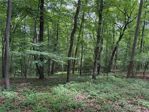 46 Norton Lane Dahlonega GA 30533