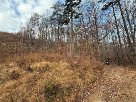 0 Falling Pines Road Dahlonega GA 30533