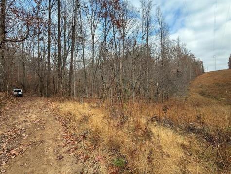 0 Falling Pines Road Dahlonega GA 30533