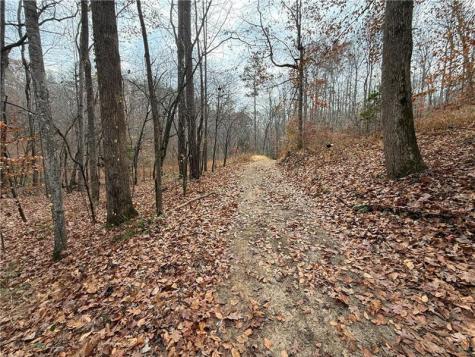 0 Falling Pines Road Dahlonega GA 30533