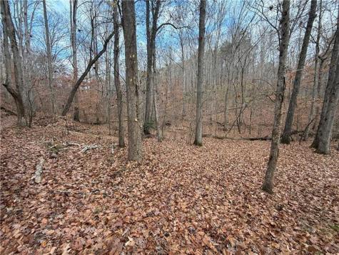 0 Falling Pines Road Dahlonega GA 30533