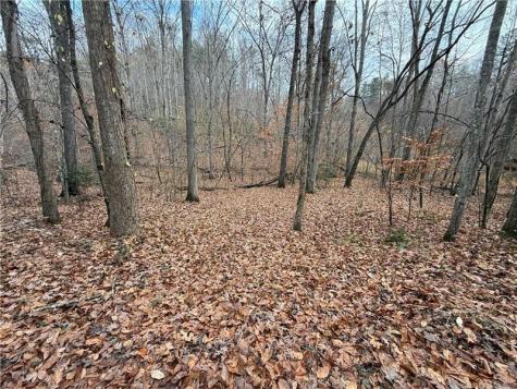 0 Falling Pines Road Dahlonega GA 30533
