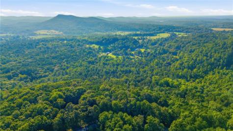 16 Sautee Woods Trail Sautee Nacoochee GA 30571