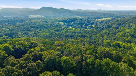 16 Sautee Woods Trail Sautee Nacoochee GA 30571