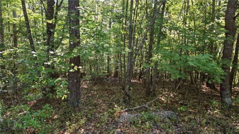 16 Sautee Woods Trail Sautee Nacoochee GA 30571