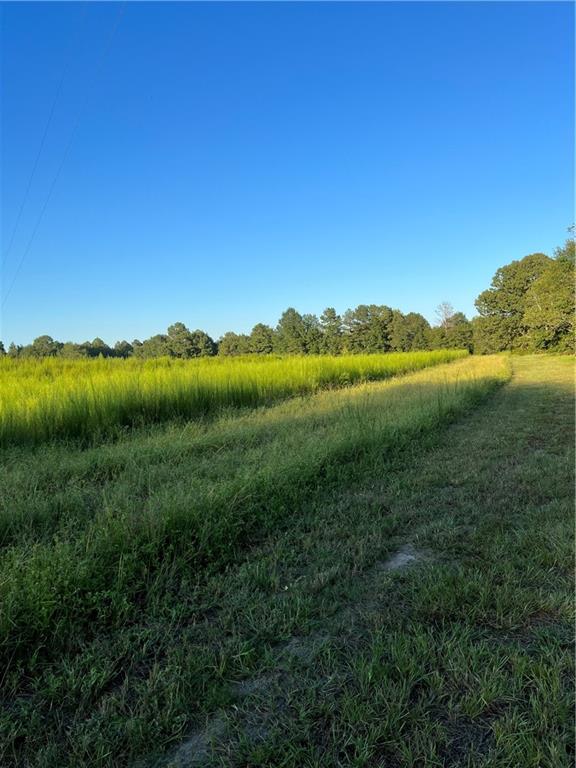 1110 Ga-88 Blythe GA 30805