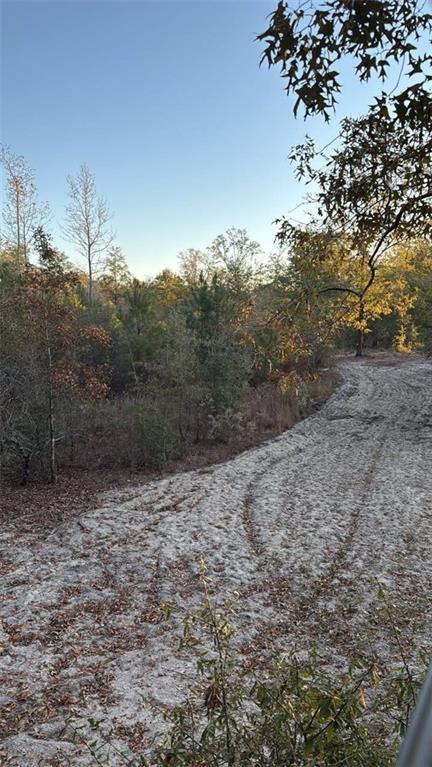 1110 Ga-88 Blythe GA 30805