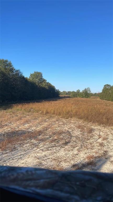 1110 Ga-88 Blythe GA 30805