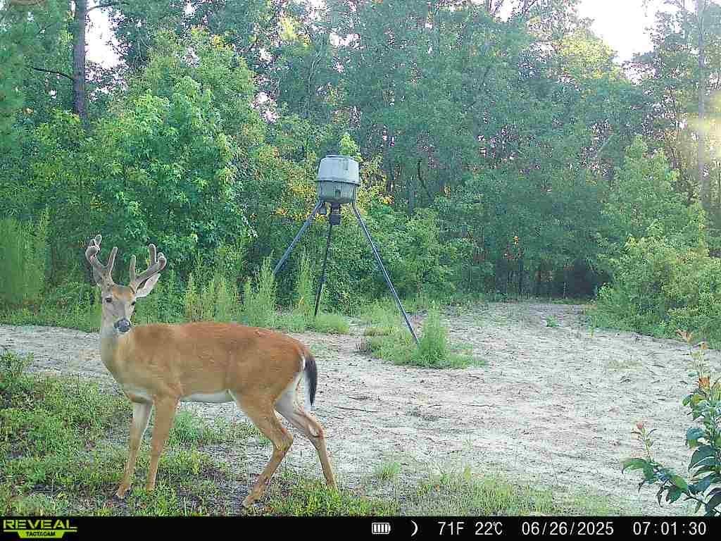 1110 Ga-88 Blythe GA 30805