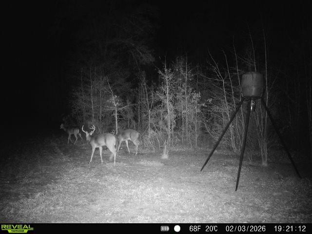 1110 Ga-88 Blythe GA 30805