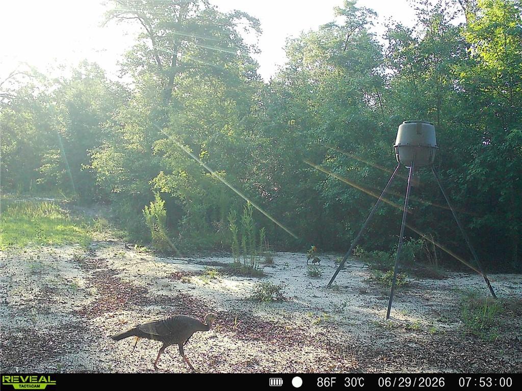 1110 Ga-88 Blythe GA 30805
