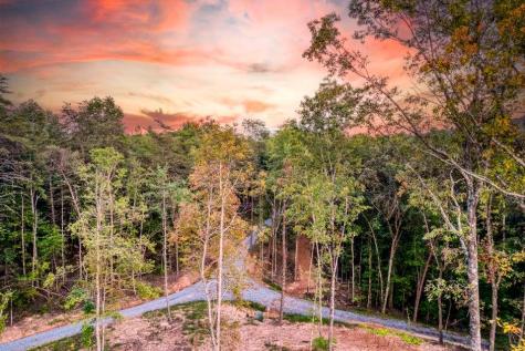 5664 Mobile Road Blue Ridge GA 30513