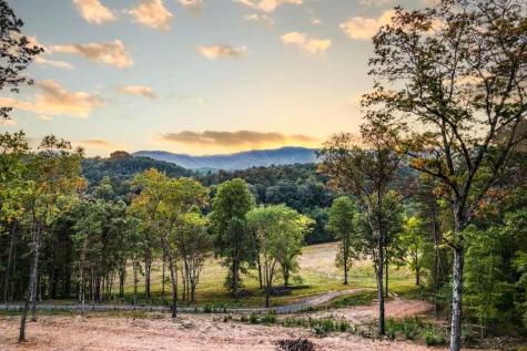 5664 Mobile Road Blue Ridge GA 30513