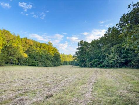 5664 Mobile Road Blue Ridge GA 30513