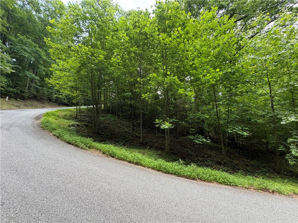 Lot 19 Mill Ridge Hiawassee GA 30546
