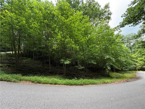 Lot 19 Mill Ridge Hiawassee GA 30546