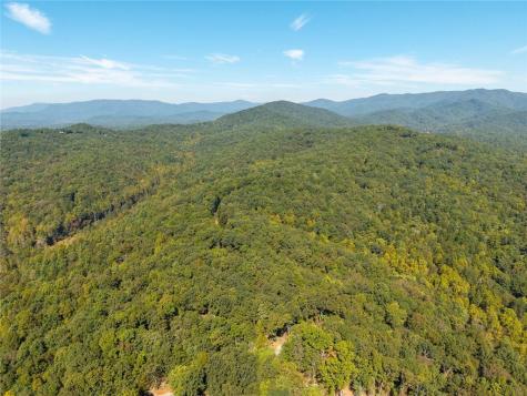 Lot 22 Abbott Mill Ellijay GA 30540