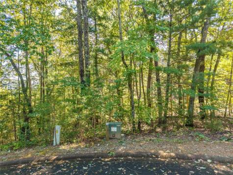 Lot 22 Abbott Mill Ellijay GA 30540