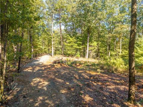 Lot 22 Abbott Mill Ellijay GA 30540