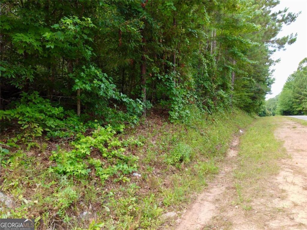 0 Parker Road Covington GA 30014
