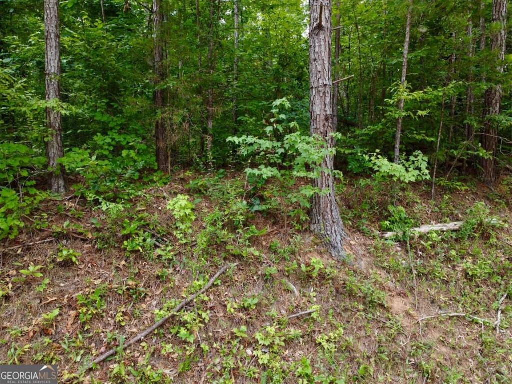 0 Parker Road Covington GA 30014