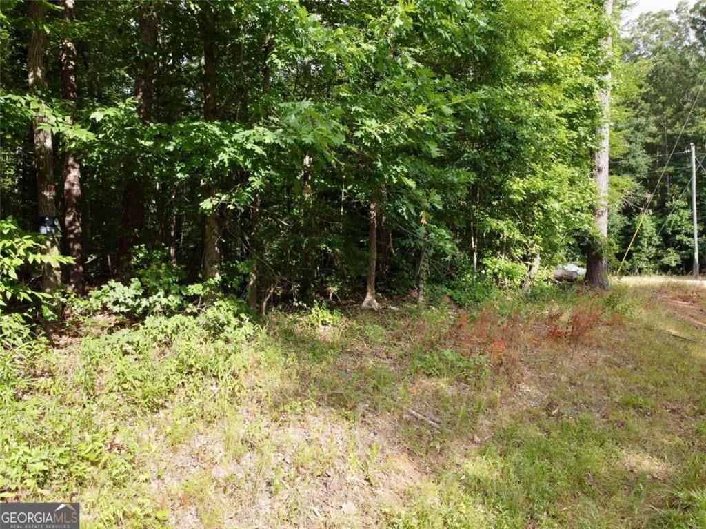 0 Parker Road Covington GA 30014