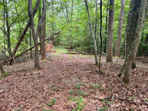 Lot 5 Fowler Creek Drive Cleveland GA 30528