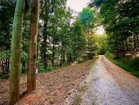 Lot 5 Fowler Creek Drive Cleveland GA 30528