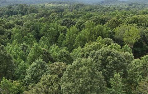 Lot 5 Fowler Creek Drive Cleveland GA 30528