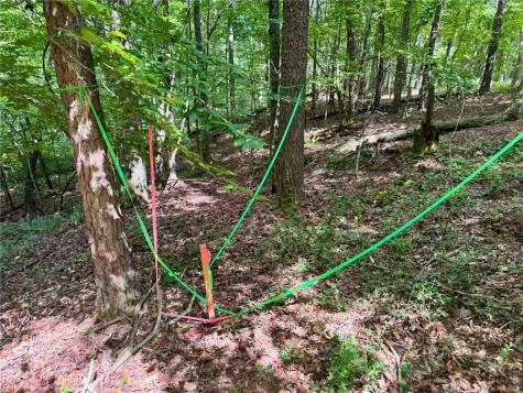 Lot 5 Fowler Creek Drive Cleveland GA 30528