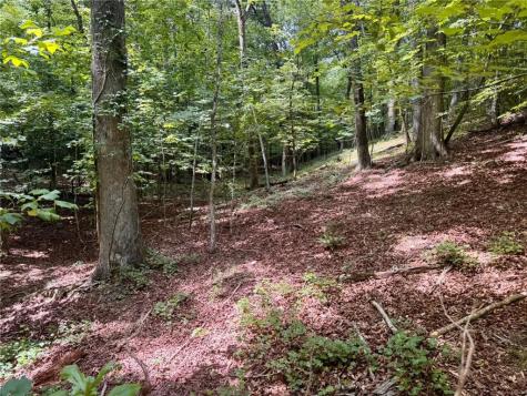 Lot 5 Fowler Creek Drive Cleveland GA 30528