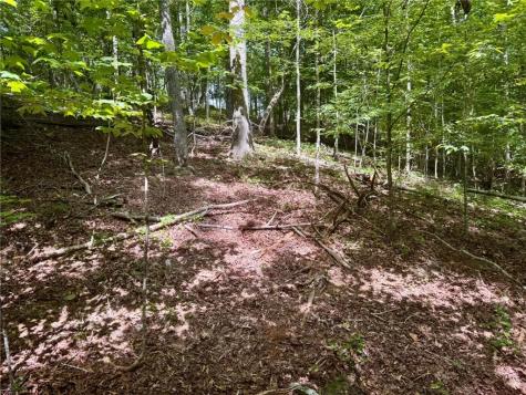 Lot 5 Fowler Creek Drive Cleveland GA 30528