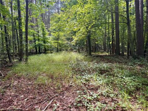 Lot 5 Fowler Creek Drive Cleveland GA 30528