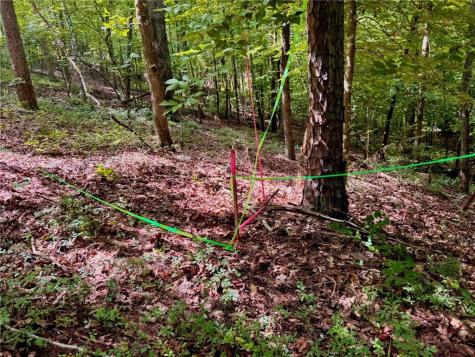 Lot 5 Fowler Creek Drive Cleveland GA 30528